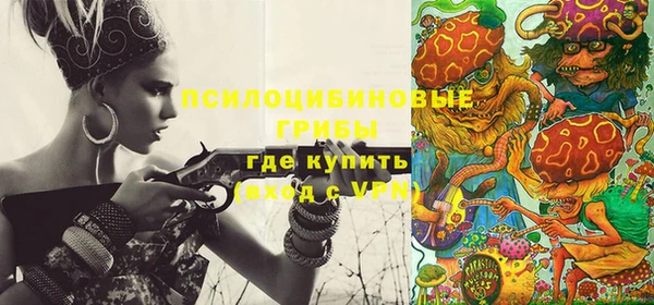 герыч Арсеньев