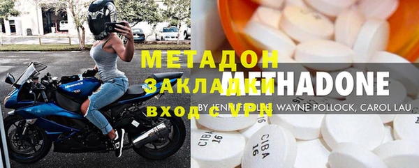 прущие грибы Аркадак