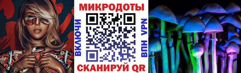 Галлюциногенные грибы мухоморы  закладки  Пустошка 
