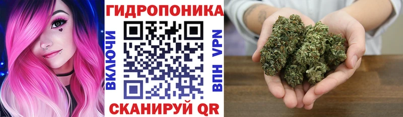 нарко площадка как зайти Пустошка МАРИХУАНА Ganja